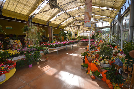 Durì Garden Center | Fioreria, Vivaio