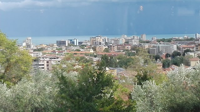 Il Falco