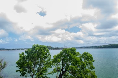 Photos of The Cove