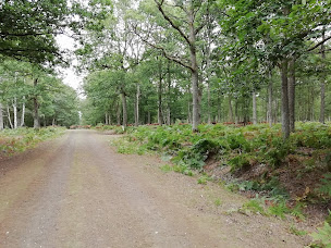 Photo n°35 de Le vol du Papillon à Treigny (Chambre d'hôtes)