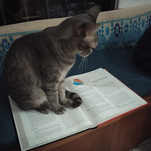 Patupe Clínico Veterinaria