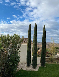 Photo n°15 de BJD ESPACE VERT à Carpentras (Paysagiste)