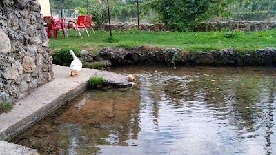 Photos of El Pajar de Ambrona