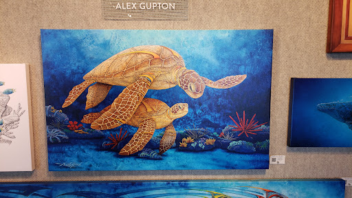 Gupton Gallery - Visual