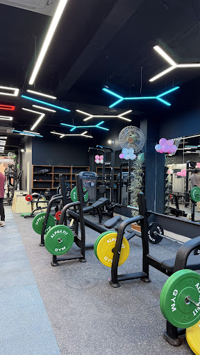 Alpha fit gym