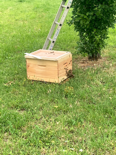 Comentarii opinii despre FGF Nuisibles