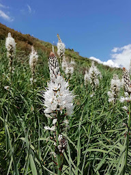 Photo n°21 de Maison Sempé à Arrens-Marsous (Chambre d'hôtes)