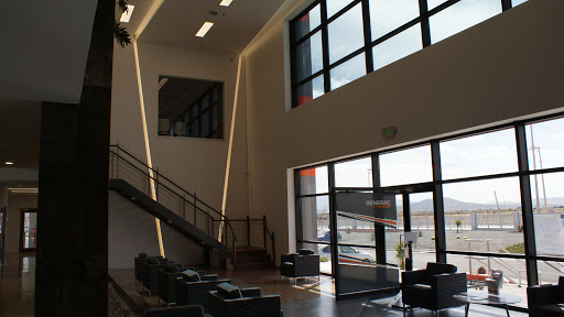 GENERAC HIDALGO - Visual