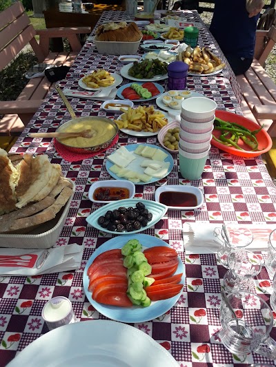 Harmantepe Aile Piknik Restaurant