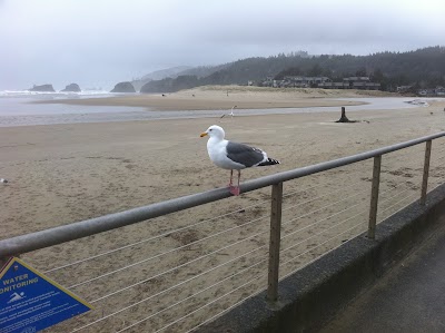 Cannon Beach