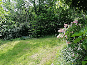 Photo n°17 de La Pendery à Arfeuilles (Gîte)