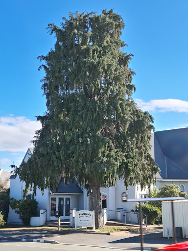 St Andrew's Uniting Church - Thumbnail