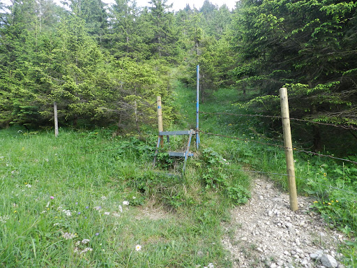 Übersteig - Visual