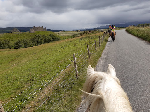 Highland Horse Fun - Thumbnail