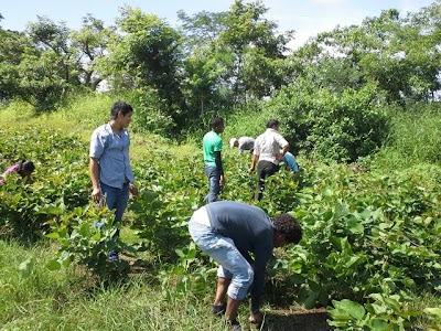 Photos of Liceo Agricola