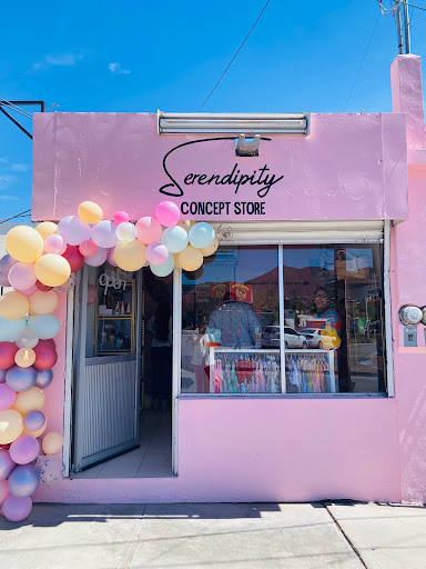 Serendipity Concept Store - Visual