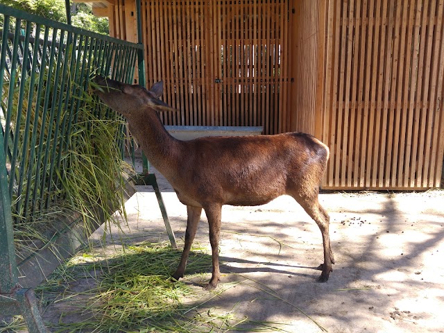 Parc Animalier de la Grande Jeanne