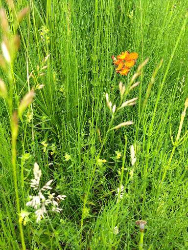 Burchtkamp - Visual