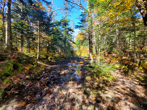 Mount Haystack Trail - Visual