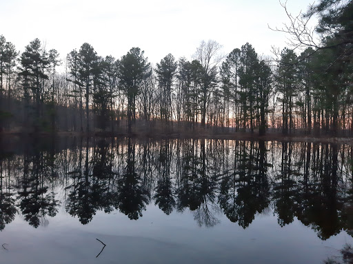 Terrill Ridge Cemetery - Thumbnail