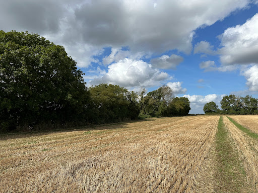 Devils Dyke Start - Visual