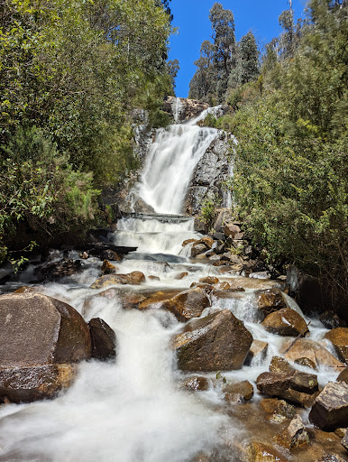 Steavenson Falls - Thumbnail