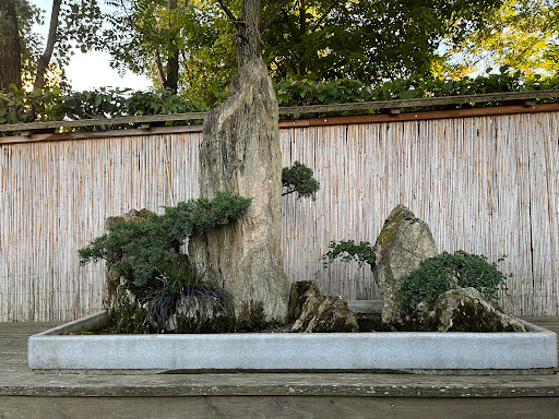 Japanischer Garten im Blühenden Barock - Thumbnail