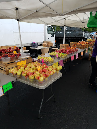 Boalsburg Farmer's Market Gallery - United States