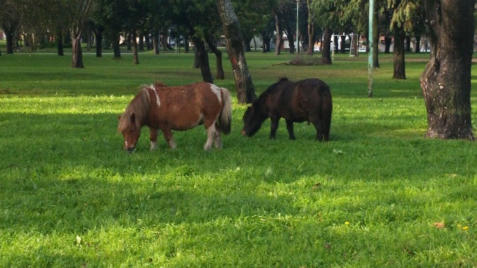 Plaza José Gervasio Artigas, Author: Mario Alonso