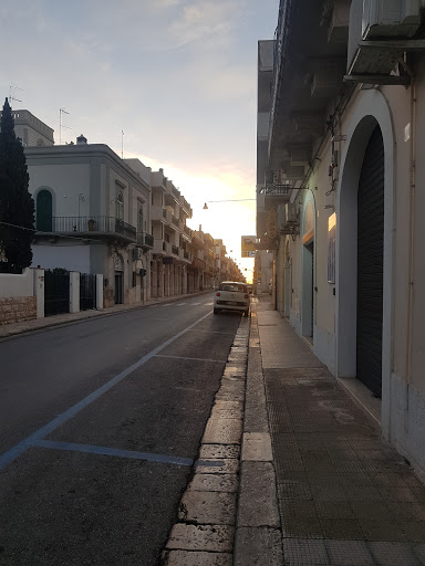 Artmoda - Visual