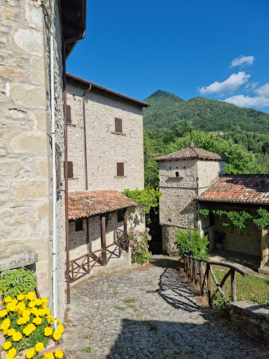 La scola - Visual