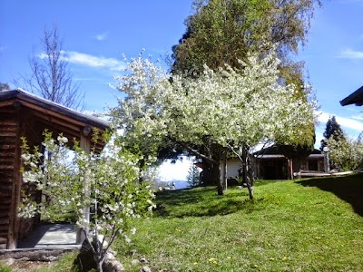 Photos of Canopy