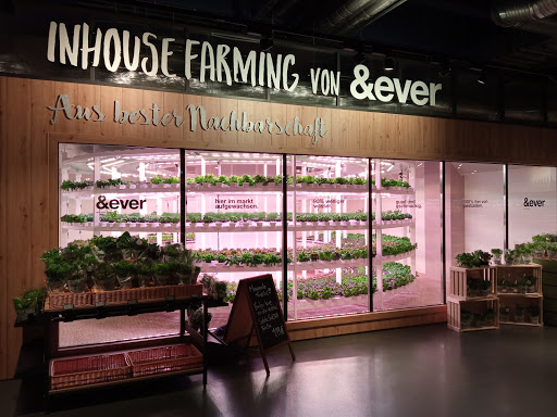 Feringa Center - Visual
