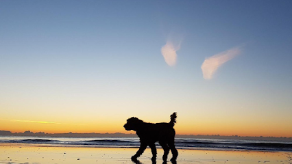 Peaceful Waters Aquamation