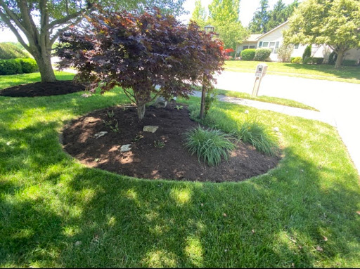 Dominion Lawn and Landscaping LLC