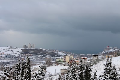 Çatalarmut Cemetery