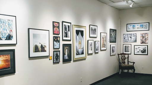 Media Arts Council