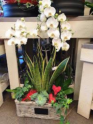 Photo n°41 de Orange et Vert à Dunkerque (Magasin)