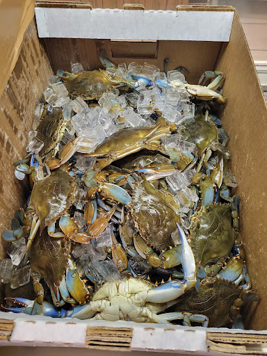 Crab Plus - Visual