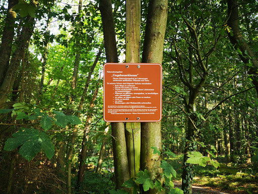 Ungeheuerklamm - Thumbnail