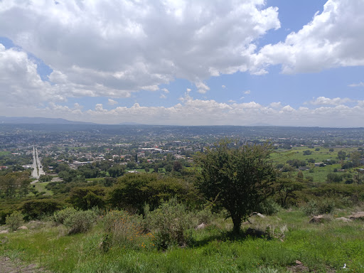 Cerro de la Ahumada / Área Protegida - Thumbnail