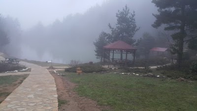 park