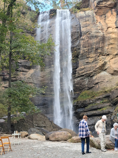 Toccoa Falls - Visual