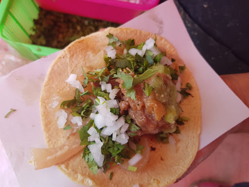 CARNITAS MARTHA
