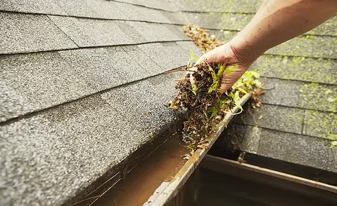 Maple Leaf Roofing - Visual