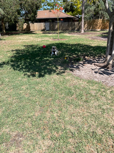 Merindah Park Dog Off Leash Area - Thumbnail
