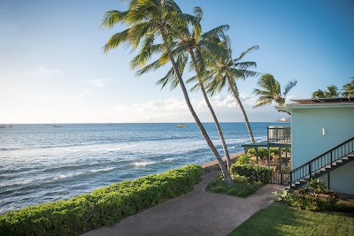 Lahaina Ocean