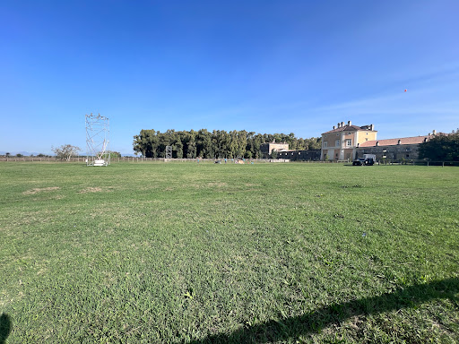 Parcheggio Reggia di Carditello - Thumbnail