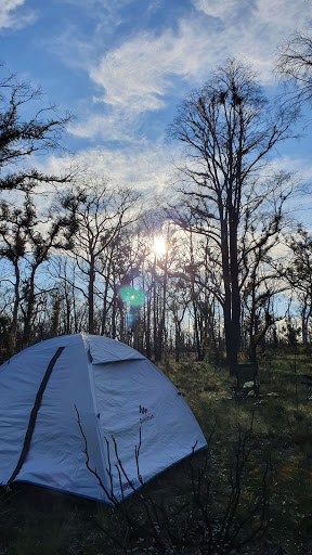 Barcoo Swamp Campground - Thumbnail