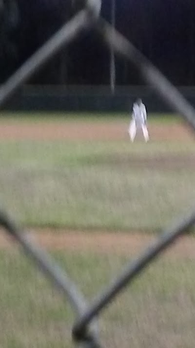 Photos of Taylor County Sports Complex